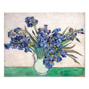 Impression Photo Irises   Vincent van Gogh