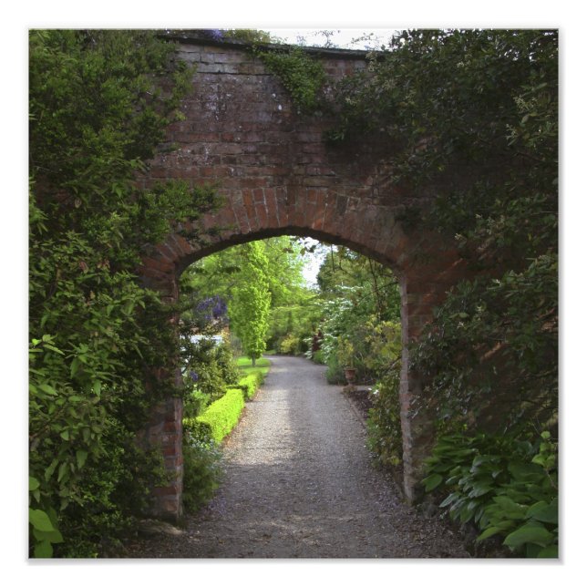 Impression Photo Irlande, le château de Dromoland très vert (Devant)