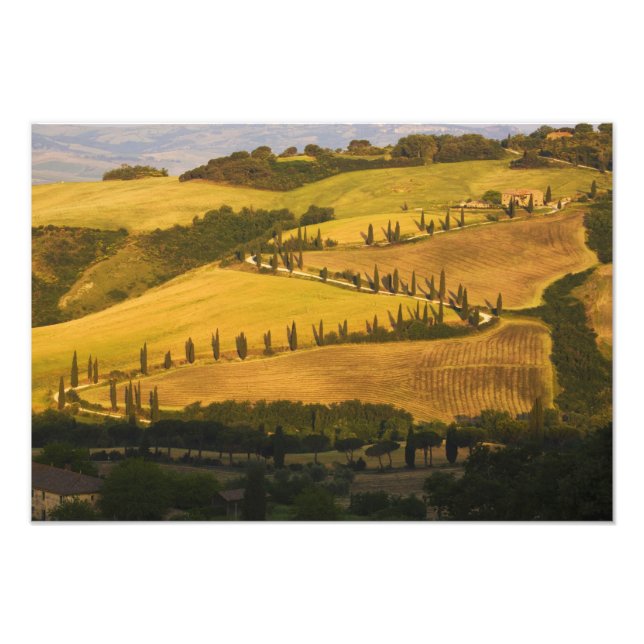 Impression Photo Italie, Toscane, route en zigzag en Toscane. (Devant)