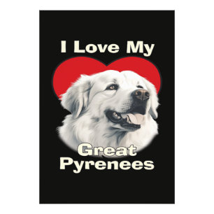 Impression Photo J'adore mon chien des Pyrénées