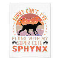J'ai des plans avec mon chat Sphynx