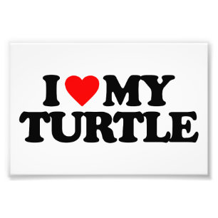 IMPRESSION PHOTO J'AIME MA TORTLE