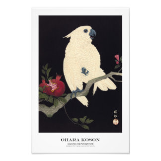 Impression Photo Japanese Art Print - Ohara Koson - Cockatoo