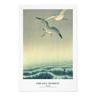 Impression Photo Japanese Art Print - Ohara Koson - Seagull