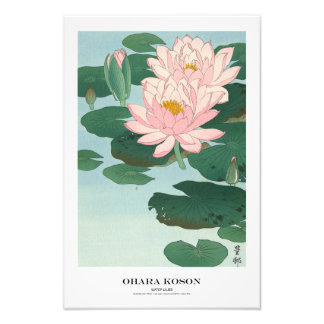Impression Photo Japanese Art Print - Ohara Koson - Water Lilies