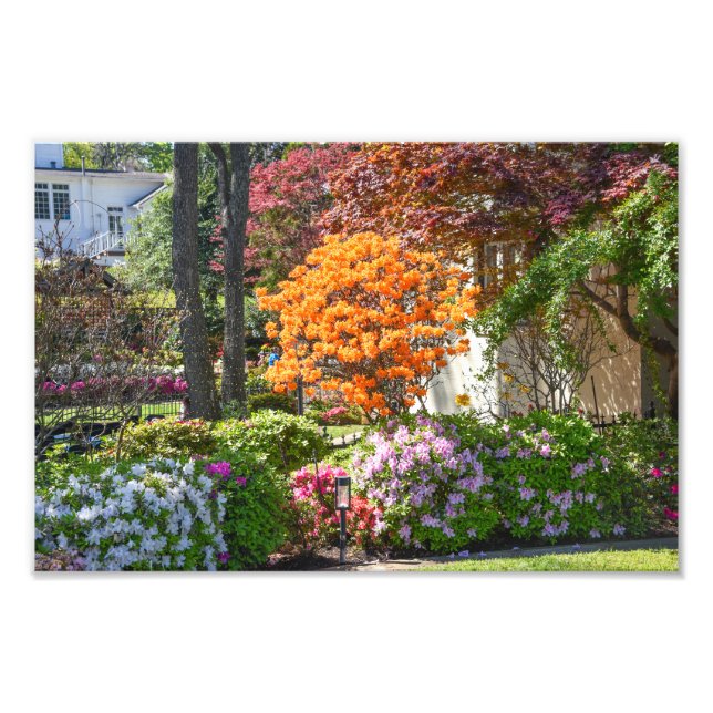 Impression Photo Jardin Azalea Trail à Tyler, Texas (Devant)