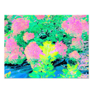Impression Photo Jardin d'hortensia rose avec feuillage jaune