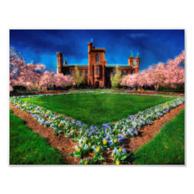 Impression Photo Jardin du château de Smithsonian Les fleurs de cer (Devant)