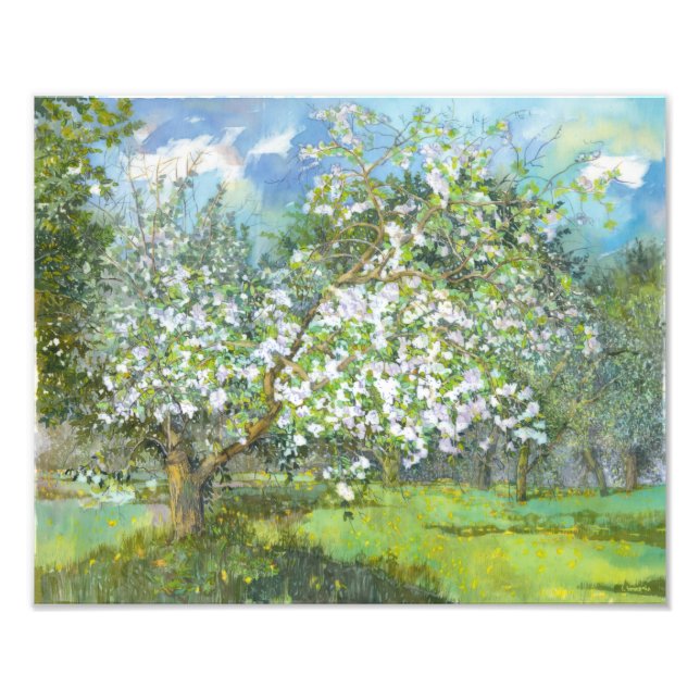 Impression Photo Jardin fleuri (Devant)