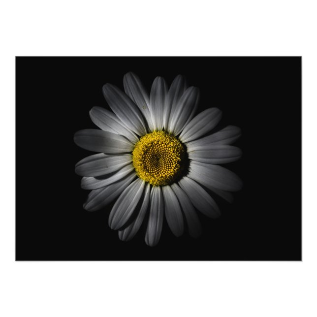 Impression Photo Jardin Fleurs 52 Couleur Version (Devant)