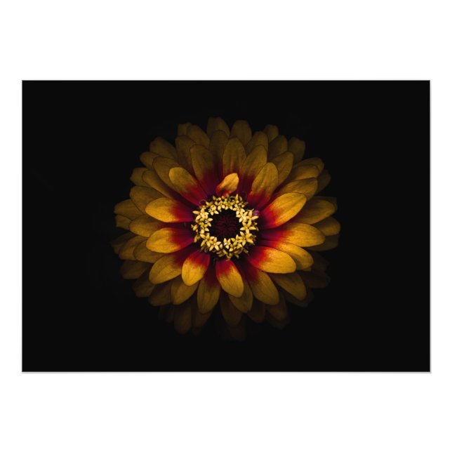 Impression Photo Jardin Fleurs No 69 Version couleur (Devant)