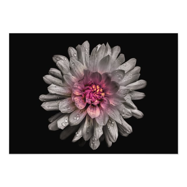 Impression Photo Jardin Fleurs No 91 Version couleur (Devant)