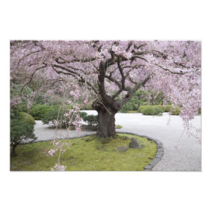 Impression Photo Jardin japonais de Portland, Portland, Oregon,