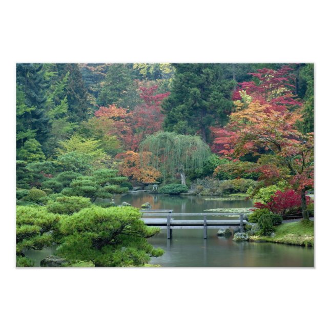Impression Photo Jardin japonais du Washington Park (Devant)