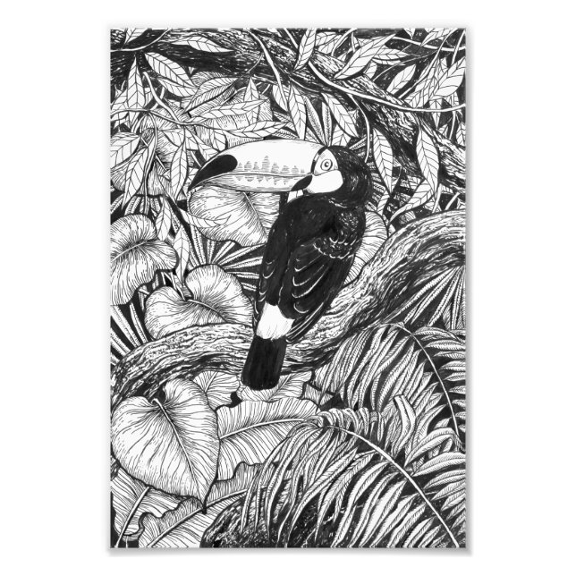 Impression Photo Jardin tropical toucan (Devant)