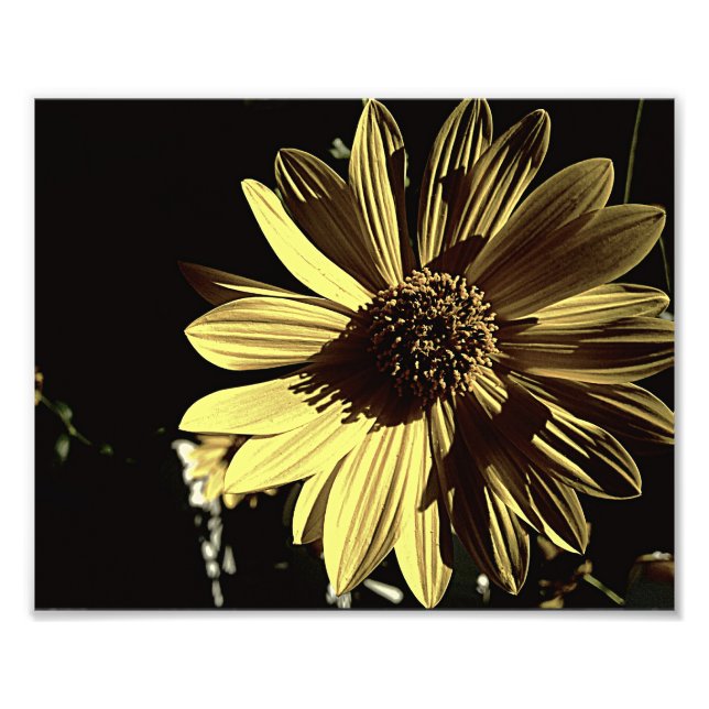 Impression photo Jaune 10x8 (Devant)