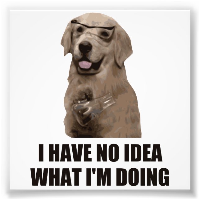 Impression Photo Je n'ai aucune idée de ce que je fais (Devant)