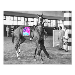 Impression Photo Je suis un bavard