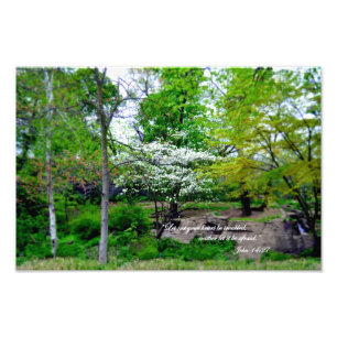 Impression Photo Jean 14:27 Que ton coeur ne soit pas troublé!