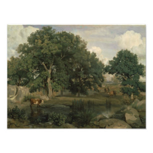 Impression Photo Jean-Baptiste-Camille Corot - Forêt