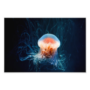 Impression Photo Jellyfish Underwater - Dark Glow