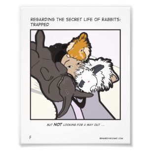 Impression Photo Jen Eli et Buns