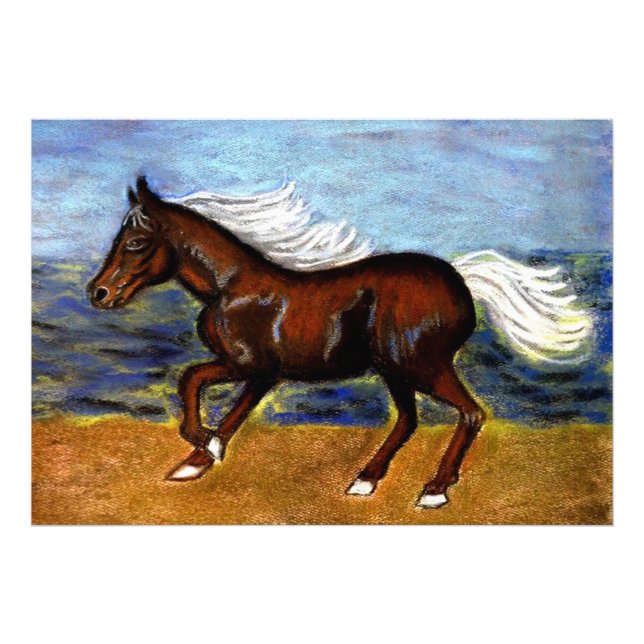 Impression Photo Jeune Colt (Devant)