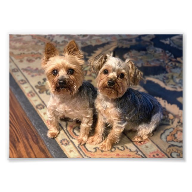 Impression Photo JoAn Nicolas Rosie (Devant)