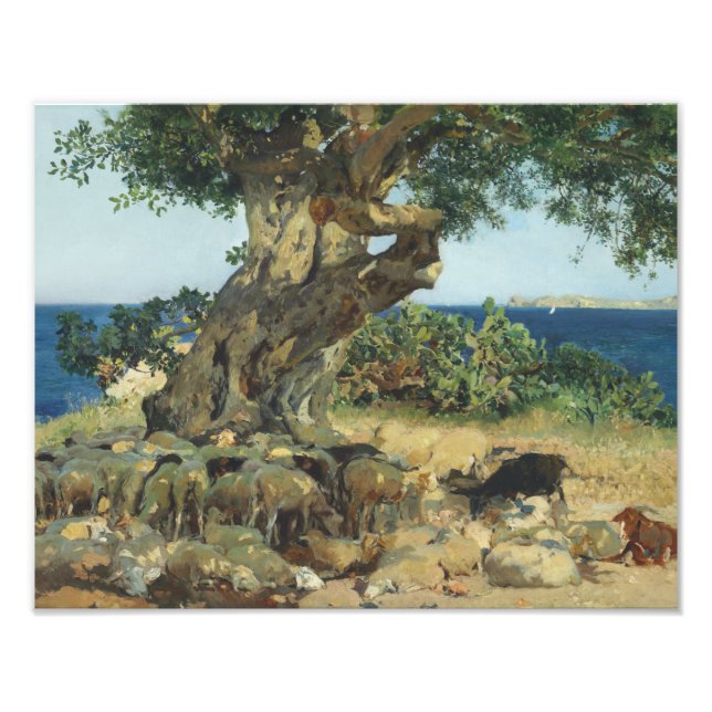 Impression Photo Joaquin Sorolla - Le Carob Tree (Devant)