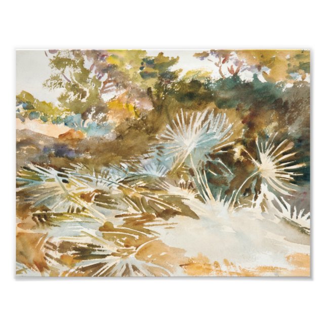Impression Photo John Singer Sargent - Paysage avec Palmettos (Devant)