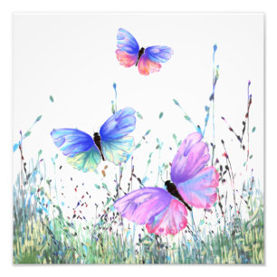Impression Photo Joie de printemps - Papillons colorés volant dans 