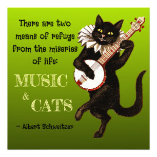 Impression Photo Joli Chat Musical Deux Moyens de Refuge Schweitzer
