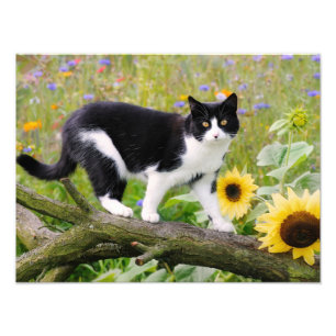 Impression Photo Joli chat smoking sur une branche d'arbre avec des