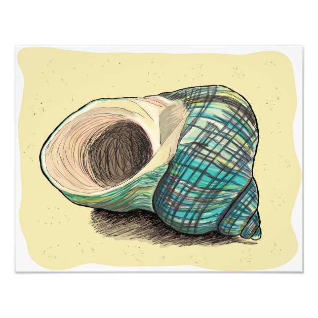 Impression Photo Joli coquille bleue (Devant)