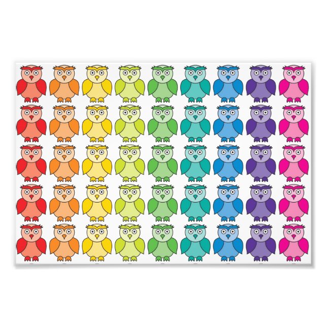 Impression Photo Joli Motif de la Chouette arc-en-ciel. (Devant)
