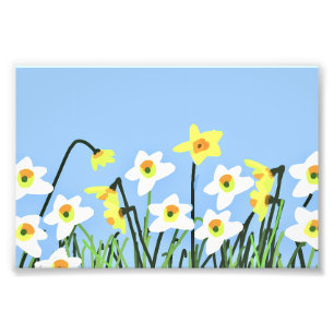 Impression Photo Jonquilles au printemps – Art contemporain