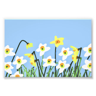 Impression Photo Jonquilles au printemps – Art contemporain