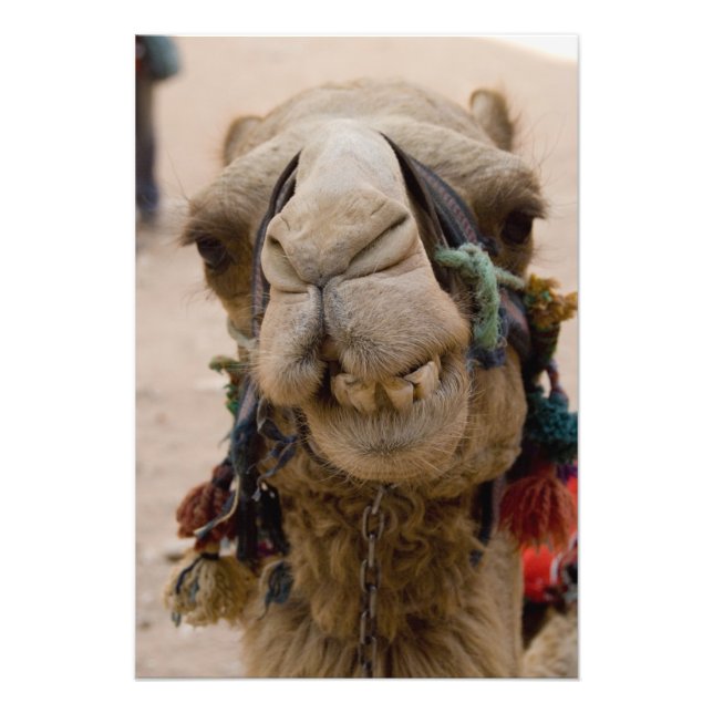 Impression Photo Jordanie, ancienne ville nabatéenne de Petra (Devant)