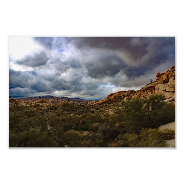 Impression Photo Joshua Tree (Devant)