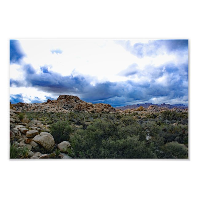 Impression Photo Joshua Tree  (Devant)
