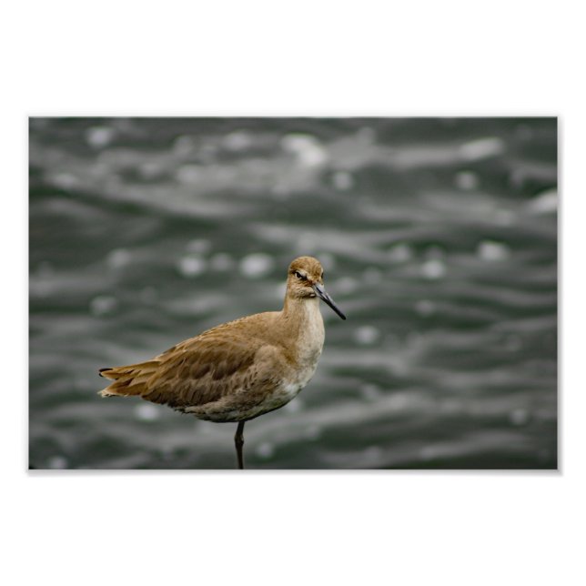 Impression Photo Jouer Del Rey (Devant)