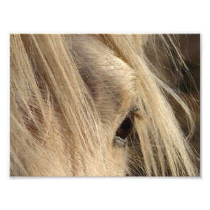 Impression Photo Jour malpropre de crinière
