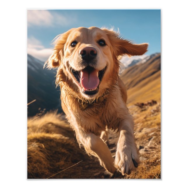 Impression Photo Joyeux Golden Retriever en cours (Devant)