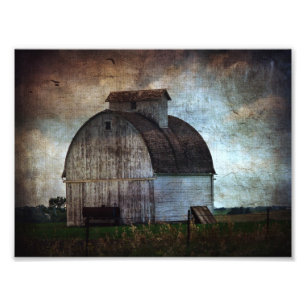 Impression Photo Kalona, grange blanche de l'Iowa avec oiseaux