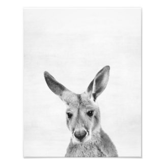 Impression Photo Kangaroo
