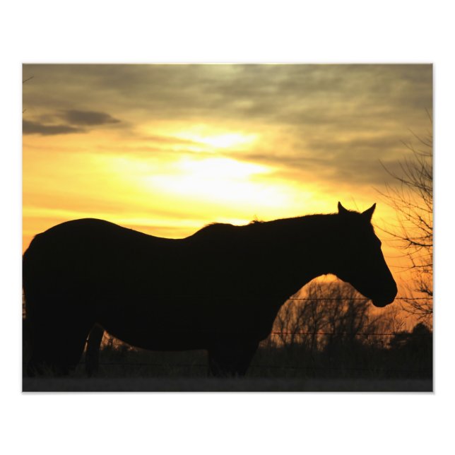 Impression Photo Kansas Sunset silhouette Cheval dans un pâturage (Devant)