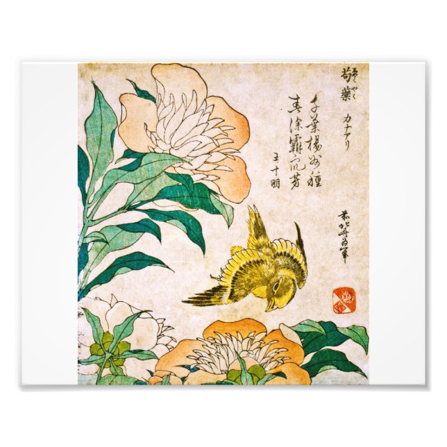 Impression Photo Katsushika Hokusai - Peony Et Canaries (Devant)