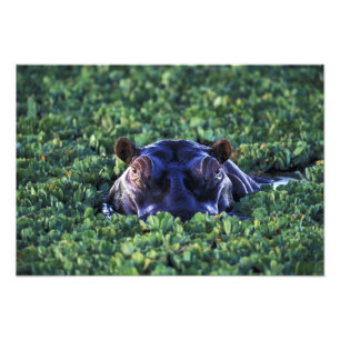 Impression Photo Kenya, réserve nationale du Masai Mara.