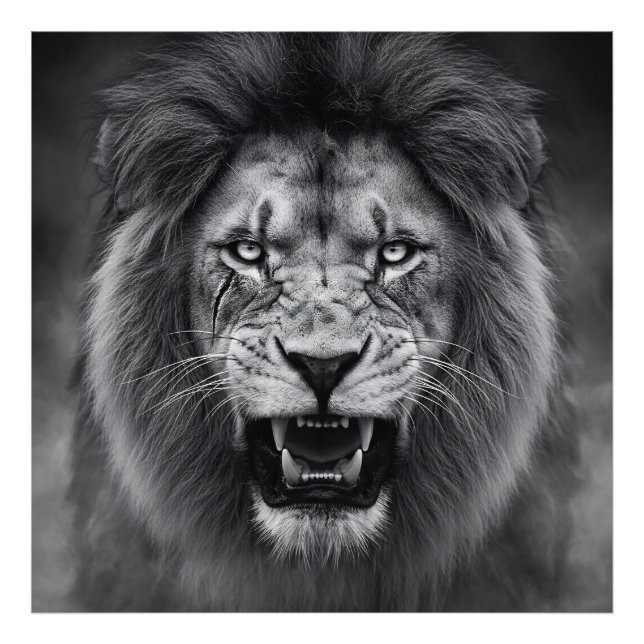 Impression Photo King of the Jungle (Devant)