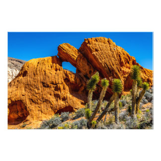 Impression Photo Kissing Turtle Rock